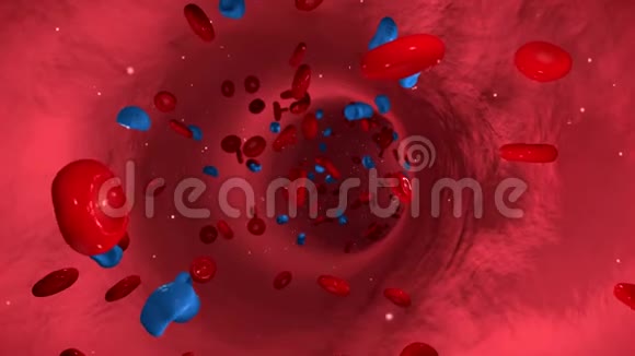 用血细胞和流感病毒制作血液动画视频的预览图