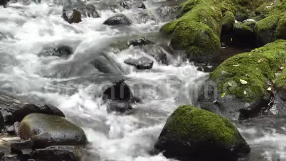 快速的白溪流淌视频的预览图