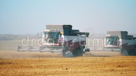 农业机器正在收割和加工黑麦视频的预览图