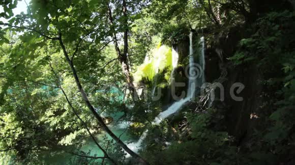 小森林瀑布视频的预览图