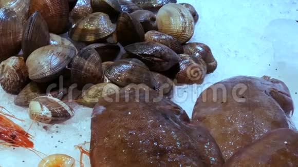 西班牙巴塞隆纳西班牙波奎利亚冰市海鲜螃蟹龙虾鱿鱼虾小龙虾蚝蚌海贝视频的预览图