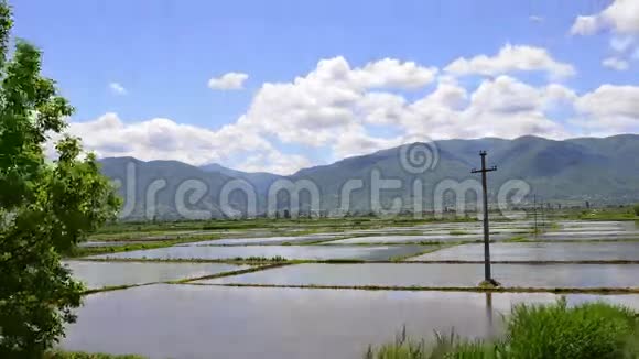 稻田和山脉的背景视频的预览图