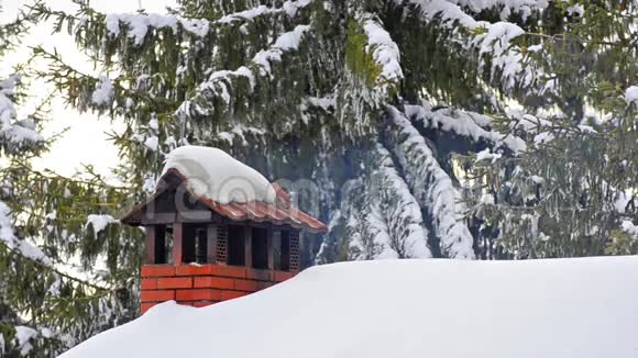 白雪覆盖的松树中的烟囱烟雾视频的预览图