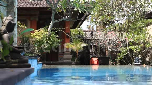 印尼泳池管理员视频的预览图