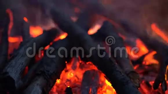 傍晚露营篝火视频的预览图