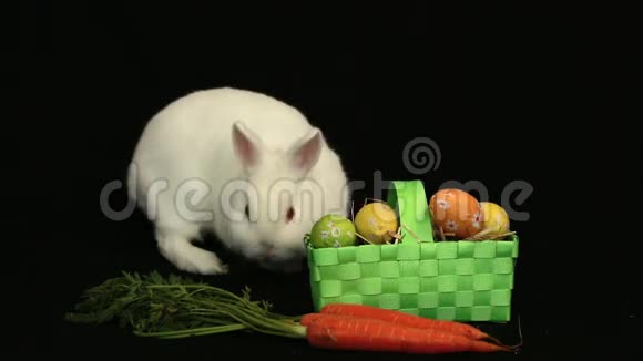 小白兔在一篮子复活节彩蛋和一根胡萝卜周围嗅嗅视频的预览图