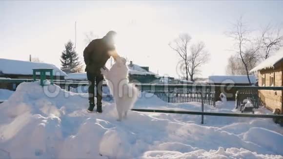 男人在户外抚摸一只白狗视频的预览图