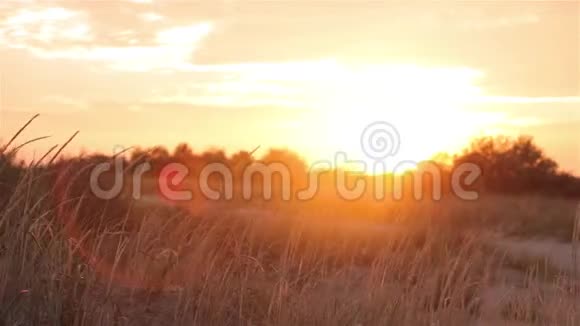 田野里五彩缤纷的夕阳野外美丽的夕阳视频的预览图