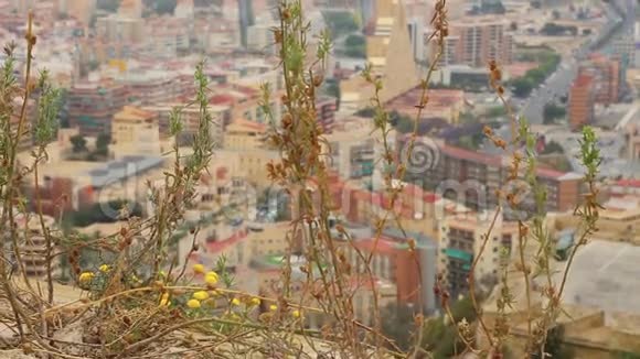 阿利坎特的美丽景色哥斯达黎加视频的预览图