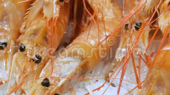 海鲜虾蟹在柜台市场海鲜在市场拉波奎利亚在巴塞罗那近距离观看视频的预览图