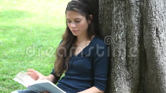 坐在树上看书的女人视频的预览图