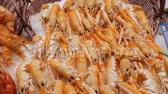 海鲜虾蟹在柜台市场海鲜在市场拉波奎利亚在巴塞罗那近距离观看视频的预览图
