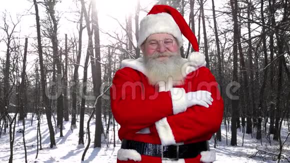 森林背景的圣诞老人视频的预览图