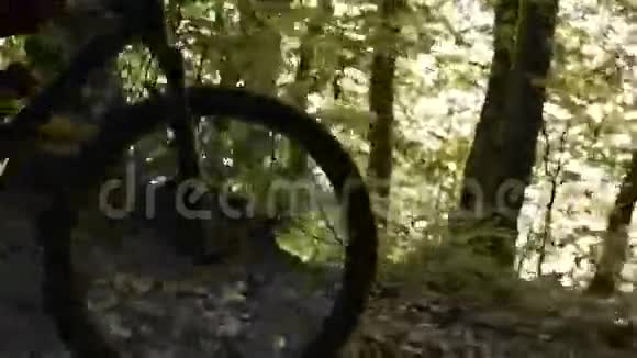 背包客在森林里骑自行车视频的预览图