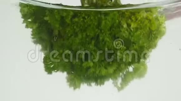 一束欧芹被隔离掉在水里视频的预览图