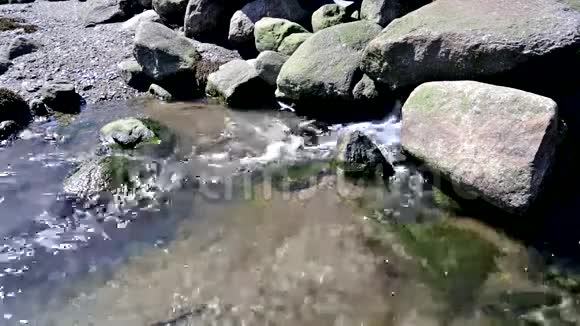 水从大巨石上流下来视频的预览图