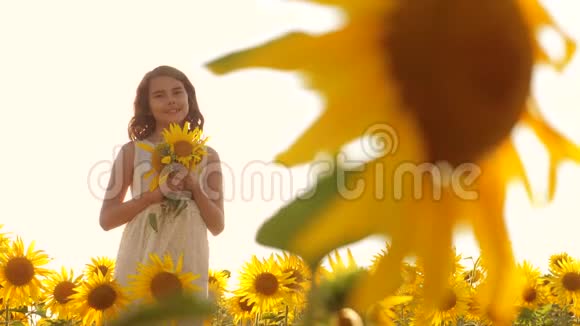夏天快乐的小女孩在田野上闻着一朵向日葵慢动作视频站在田野里的少女视频的预览图