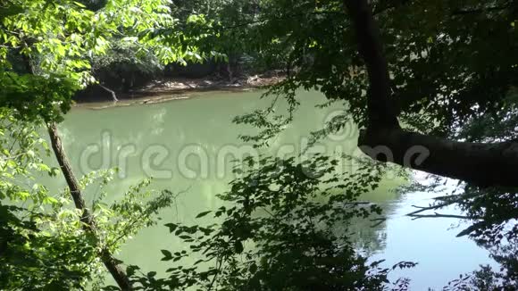 佐治亚州梅洛克桥透过树木看到一条绿色的查塔霍切河视频的预览图