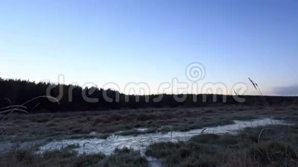 在冰冻的沼泽上黎明时间流逝4K视频的预览图
