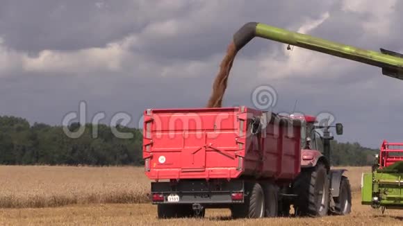 农业机器将收获的粮食装入卡车拖车视频的预览图