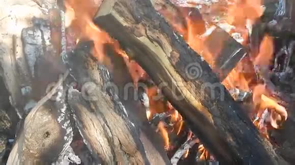 自然火火背景火焰质感视频的预览图