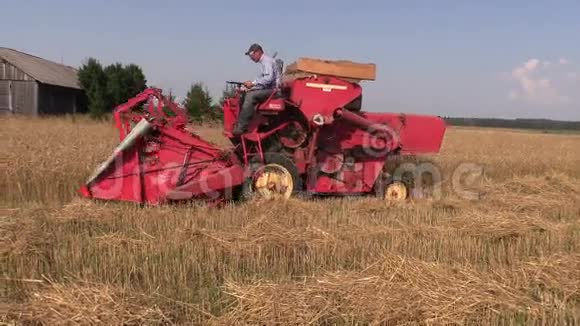 农场工人用红联合收割机收割小麦植株视频的预览图