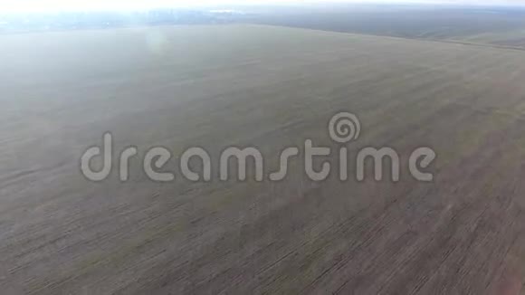 飞越一片冬小麦地视频的预览图