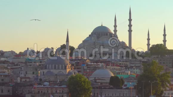 伊斯坦布尔和Suleymaniye清真寺视频的预览图