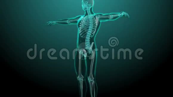 下背部脊柱疼痛的X线骨架动画视频的预览图