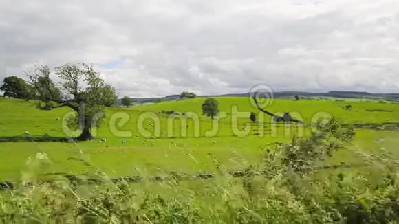 美丽的英国风景约克郡英国高清镜头视频的预览图