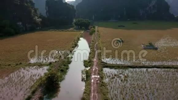 日落期间NinhBinh和TamCoc稻田的空中镜头越南视频的预览图