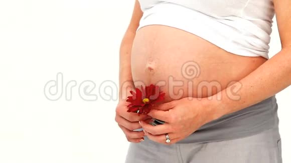 孕妇手捧红花视频的预览图