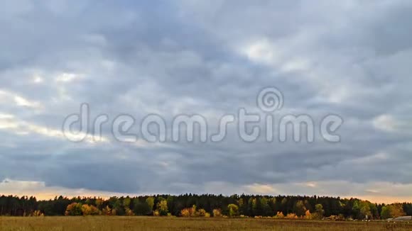 在背景的秋天风景上晒太阳蒂姆视频的预览图