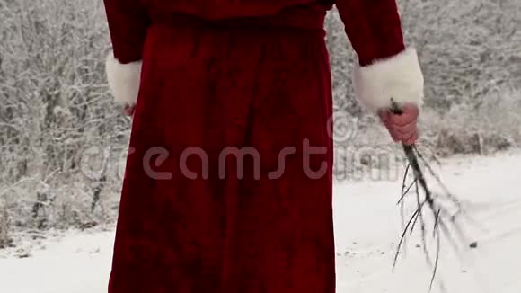 在森林里的路上有桦树的圣诞老人视频的预览图