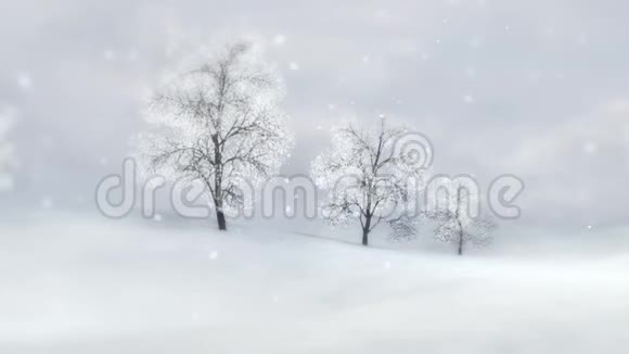 冬天的平原大雪时落叶乔木视频的预览图