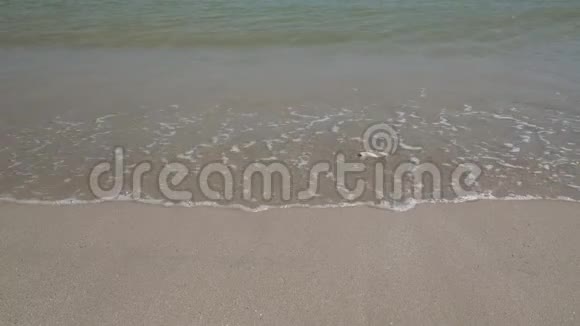 沙滩海浪高清电影视频的预览图