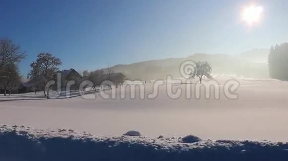 冬季景观森林中霜冻的冬季树日出的光线冲破雪树视频的预览图