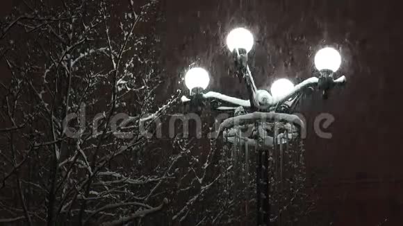 街灯照亮了白雪覆盖的树木在黑暗的夜晚下着雪视频的预览图