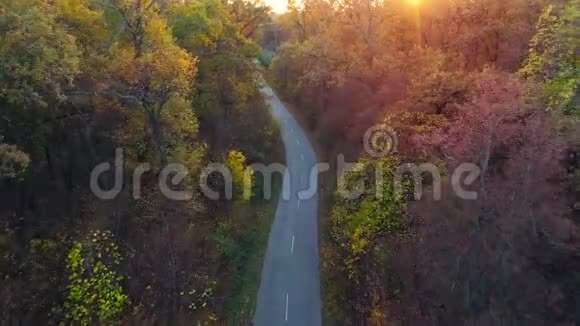 鸟瞰秋林路秋景风景视频的预览图