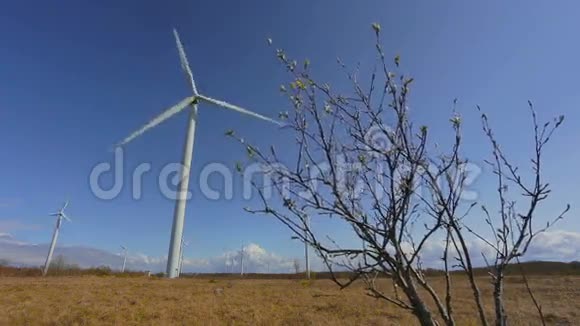 在爱沙尼亚欧洲的风车视频的预览图