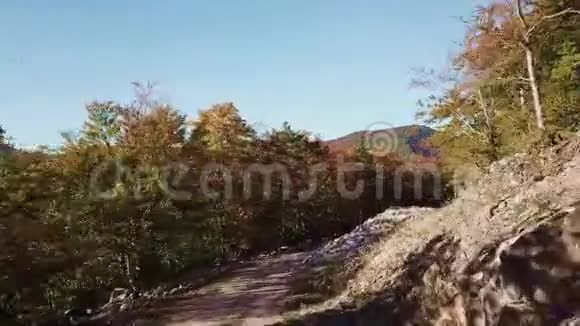 法国比利牛斯山脉秋林和小径的鸟瞰图视频的预览图