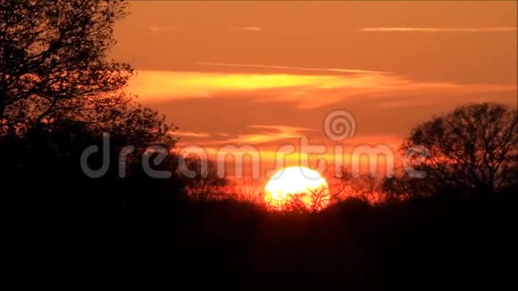 日落时间在树和红黄云之间流逝视频的预览图