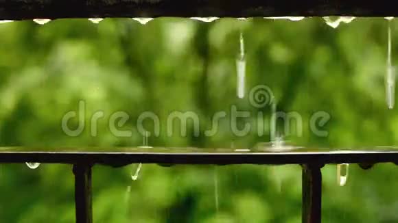 夏季暴雨期间金属栅栏上的水滴视频的预览图