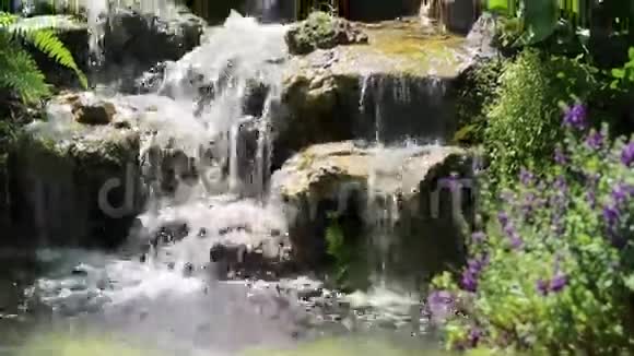 花园里的瀑布视频的预览图