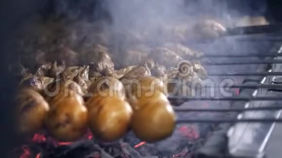 厨师在烤架上烤出多汁的烤肉串烤肉和蔬菜视频的预览图