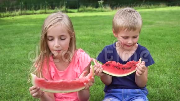 孩子们在户外吃西瓜视频的预览图
