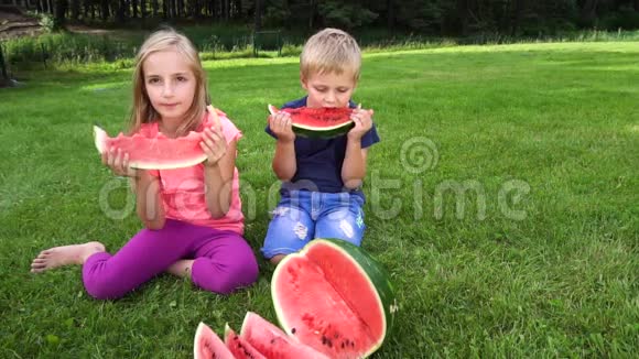孩子们在户外吃西瓜视频的预览图