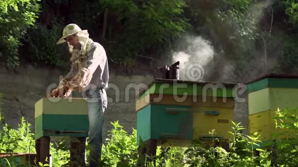 养蜂人从蜂巢里轻轻抽出蜂巢看着它视频的预览图