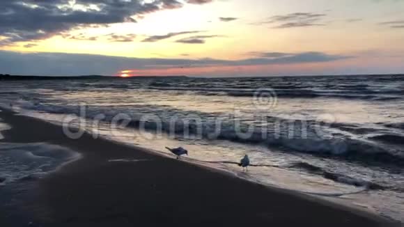 波罗的海海滩日落视频的预览图