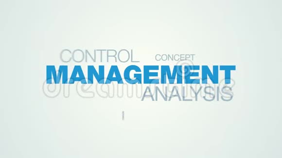 管理分析控制保证业务组织战略认证成功检查系统动画字视频的预览图